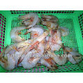 frozen King Banana Prawn on sale